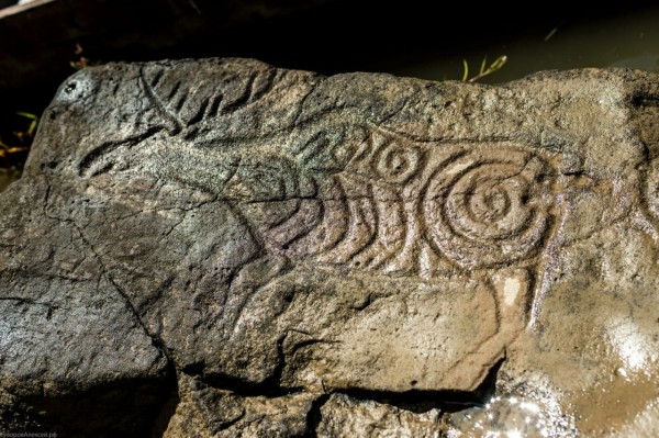 Фото с сайта: https://sikachialyan.ru/