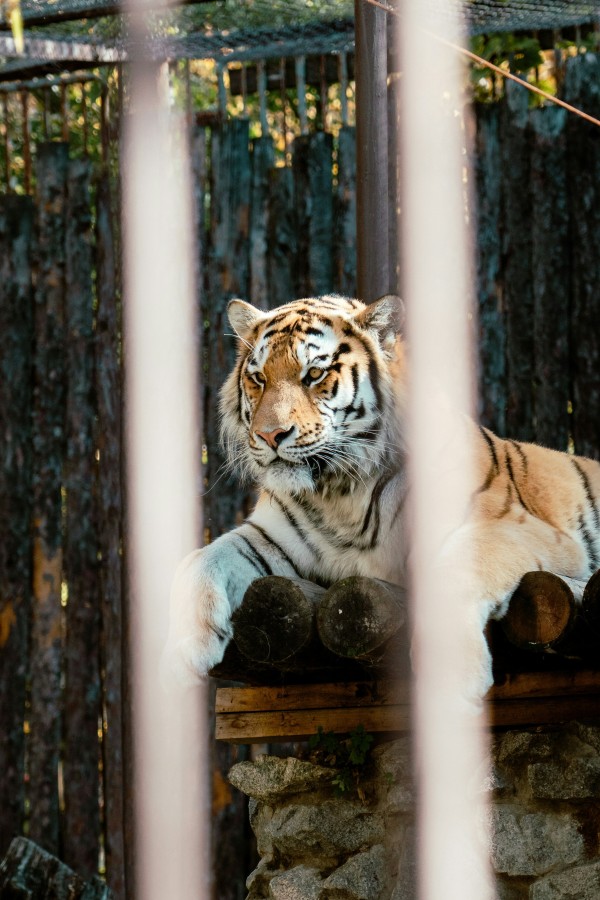 Фото: Ruslan Mingazhov / Unsplash