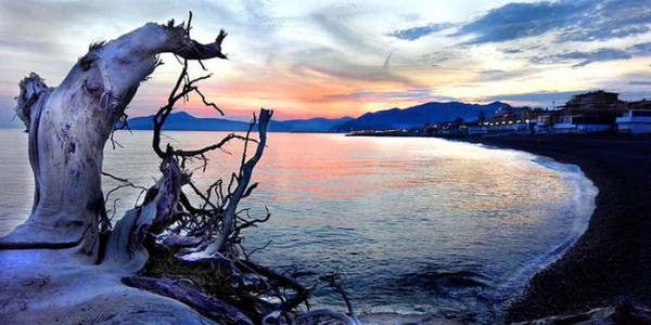 从珍爱网线下调研报告看当代“年轻人”的幸福感来源