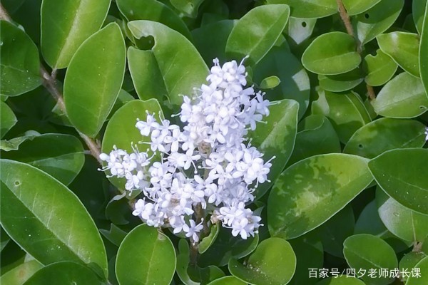 多传播正能量，少传播负能量，以促进社会良好发展