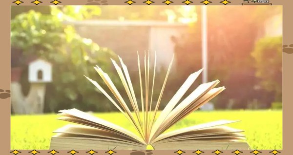 为何接近正能量的人有助于成长?能量传递的奥秘!