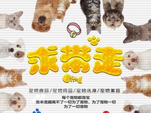 宠物金蟾养护指南？金蟾宠物店排行榜