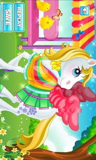 小马宠物养护指南？初养小马必备的五大技巧