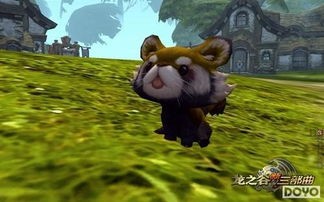 小浣熊宠物：如何养护和训练？小浣熊宠物养护指南