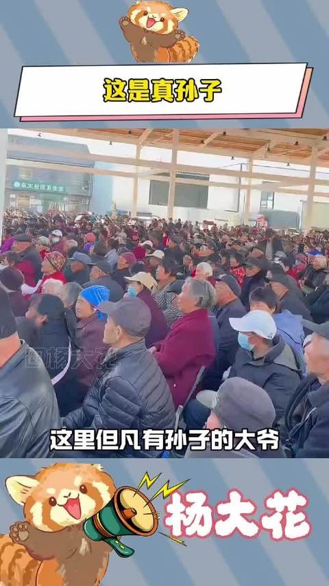 爷：别人是孙子你是真孙子 ！