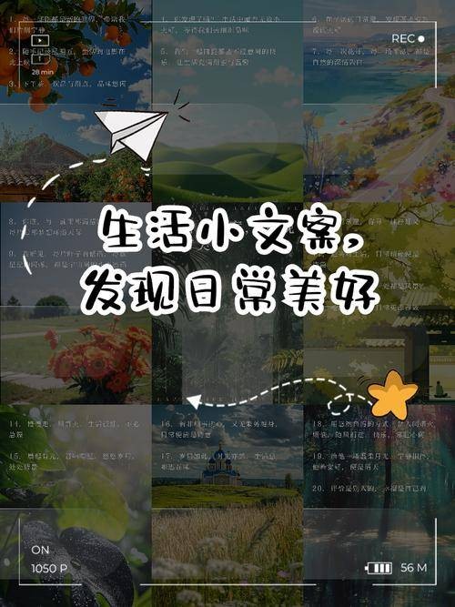 5个藏在日常里的小乐趣，让平凡日子也闪光