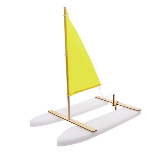 六年级创新月：从科学探索到实践乐趣