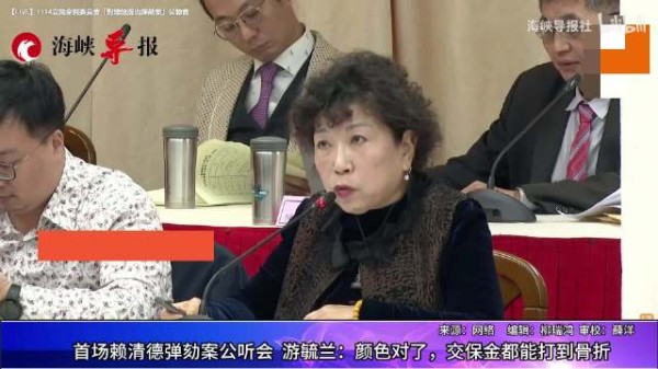赖清德弹劾案公听会，游毓兰批：颜色对了，交保金都能打到骨折