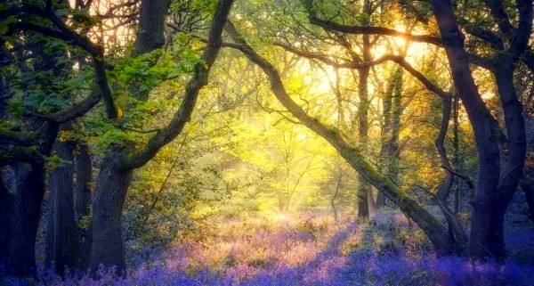 众多积极向上的运动句子，激励人们坚持锻炼，享受阳光健康生活