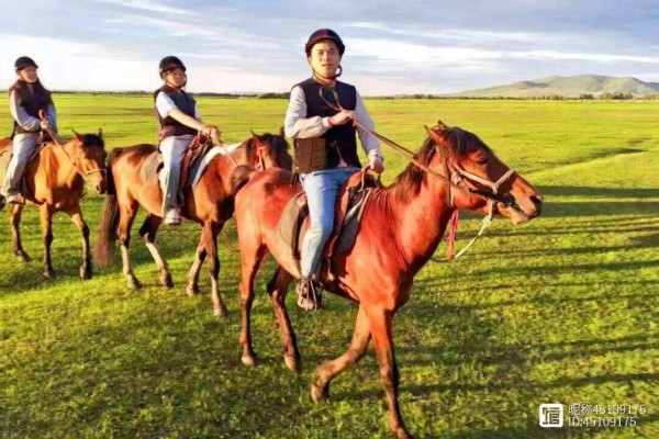 行走丨呼伦贝尔旅行日记 · 黑山头马背上的慢摇与落日熔金