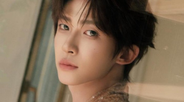 安利官上线！刘宇版天仙配唱出新韵味