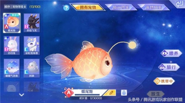 QQ炫舞宠物怎么升级（这份宠物养护指南请收好）