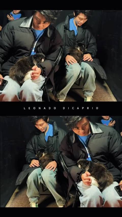 糕糙糕月和剧组双胞胎小猫