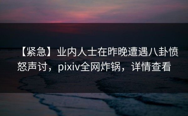 【紧急】业内人士在昨晚遭遇八卦愤怒声讨，pixiv全网炸锅，详情查看