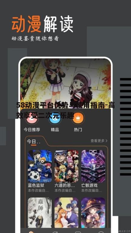 四、58动漫平台的版权保护