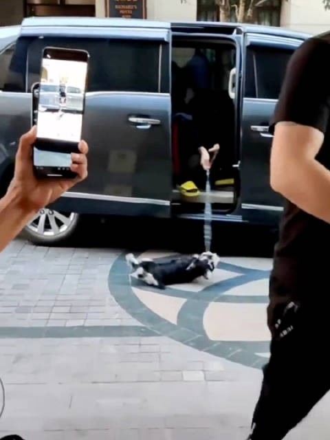 哈哈哈哈哈这个视频不管看多少次都是好好笑