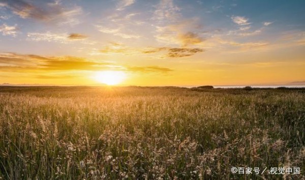 关于感恩的10句名人名言，带来积极正能量（大有裨益）