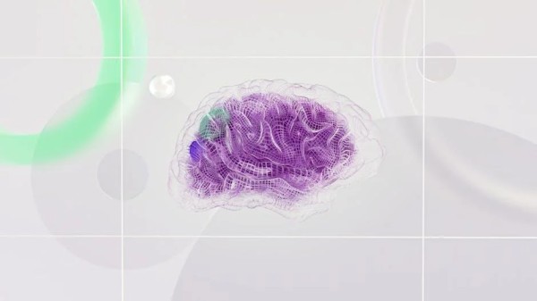 感恩的神经科学：感恩的神经科学：为何重要以及如何发挥作用