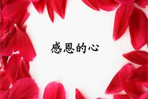 如何表达感恩句子有哪些，如何表达感恩的话语