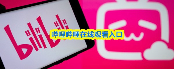 哔哩哔哩在线观看入口