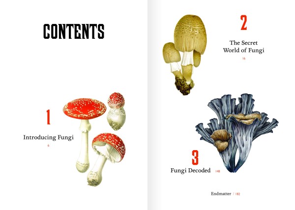 真菌解密：与30种菌菇的邂逅