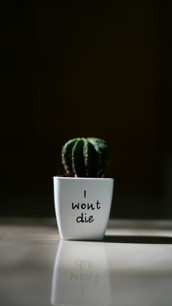 求生技能有哪些？野外生存必學5大高效技能完整教學