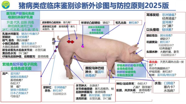 猪场重大疫病监测及流行趋势分析