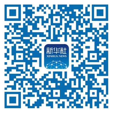 关于组织参加2023年“伴随种子计划” 资助育人项目线上公开课活动的通知