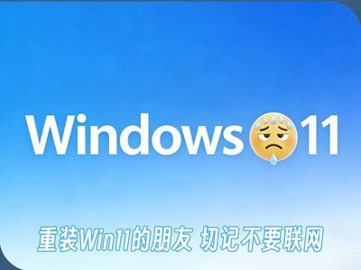 重装或重置Windows 11的朋友 切记不要联网