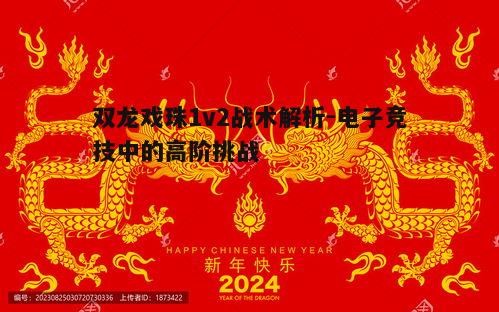 三、双龙戏珠1v2中的角色定位