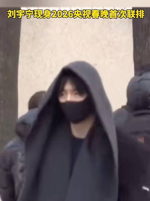 太暖了！刘宇宁雪中挥手点头示意