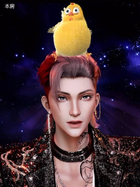 可爱满满配上可爱小鸡 从讨厌小鸡到爱上小鸡 只需要一千只小鸡跳跳