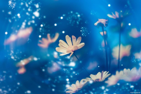 既然你做出了选择，那你就应该去承受，所有意想不到的结果