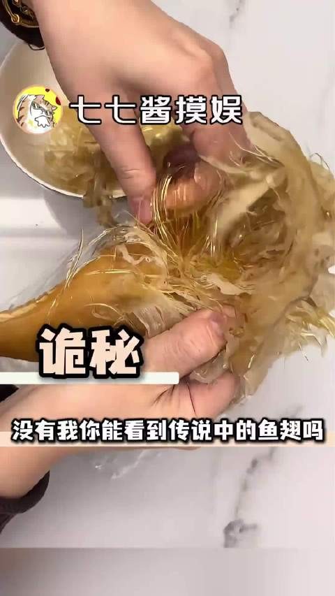 这辈子还没吃过鱼翅
