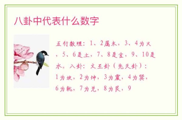 八卦中代表什么数字