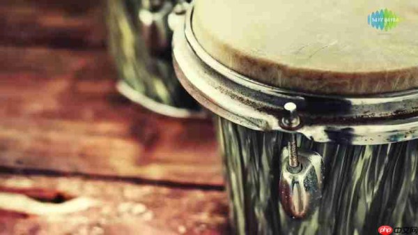 感受音乐的魅力：一段旋律，无限可能