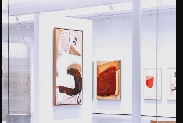 近距离感受文化魅力：从舞蹈到非遗体验的全城活动