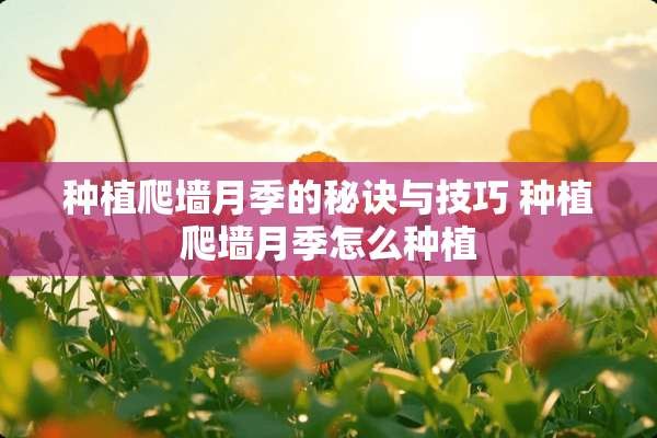 种植爬墙月季的秘诀与技巧 种植爬墙月季怎么种植