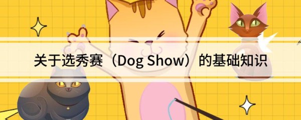 关于选秀赛（Dog Show）的基础知识