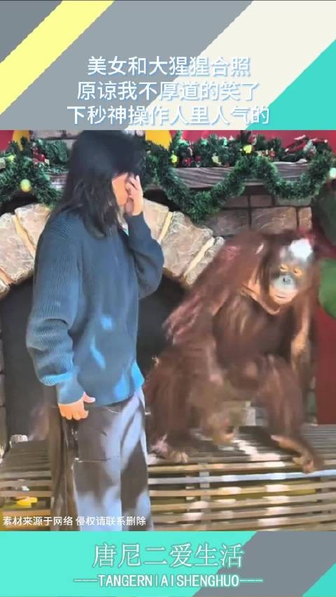 美女和大猩猩合照，原谅我不厚道的笑了，下秒神操作人里人气的！