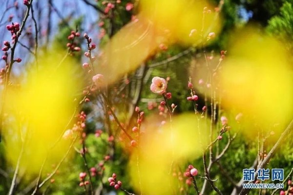 有人穿短袖，有人穿棉衣，换季“乱穿衣”到底该怎么穿？