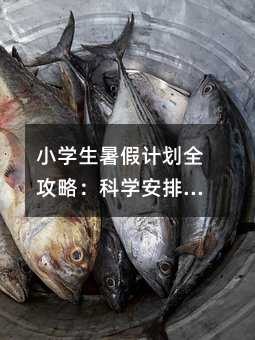 小学生暑假计划全攻略：科学安排，让假期充满成长