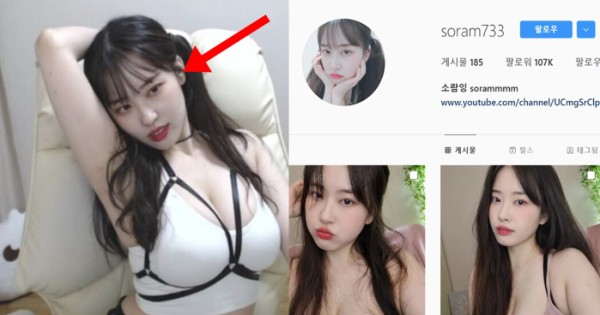트위치 스트리머 소람잉 나이 알려진 후 분노해 공지에 남겼던 글 (+인스타, 나무위키)