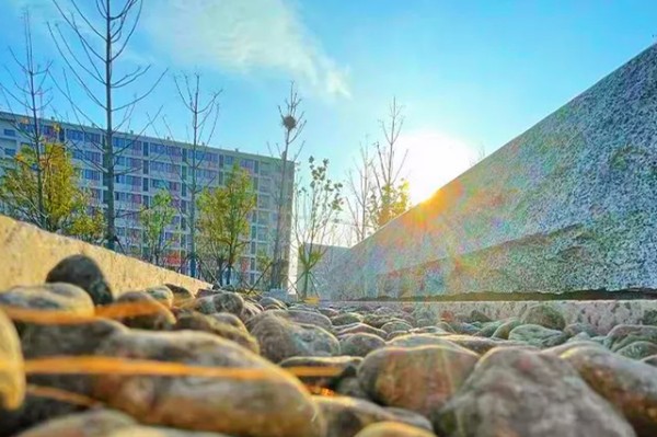 阳光下，新启航——新学期开学心理调适指南