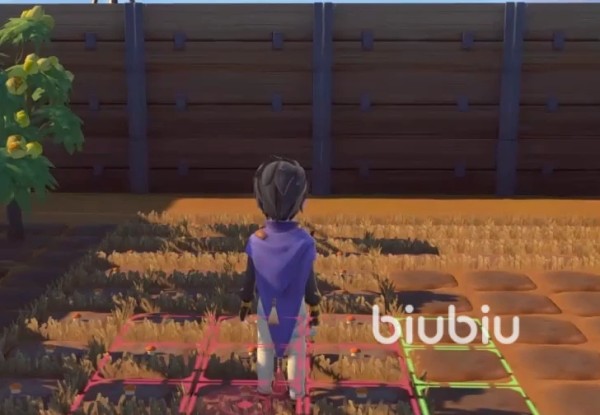 沙石镇时光番茄浓汤做法详解：家庭版浓郁酸甜番茄汤食谱