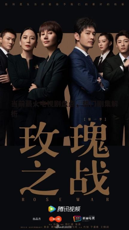 四、最火电视剧案例分析