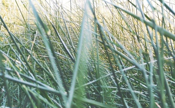 如何理解二十四节气中的四季变化