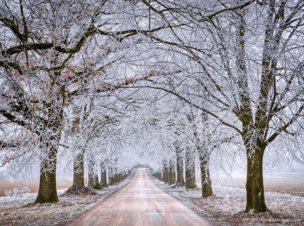 今日大寒，三忌，三宜，为来年的身体打下基础