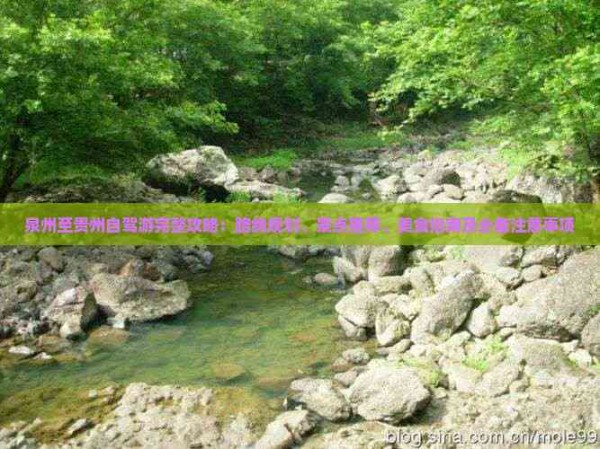 泉州至贵州自驾游完整攻略：路线规划、景点推荐、美食指南及必备注意事项