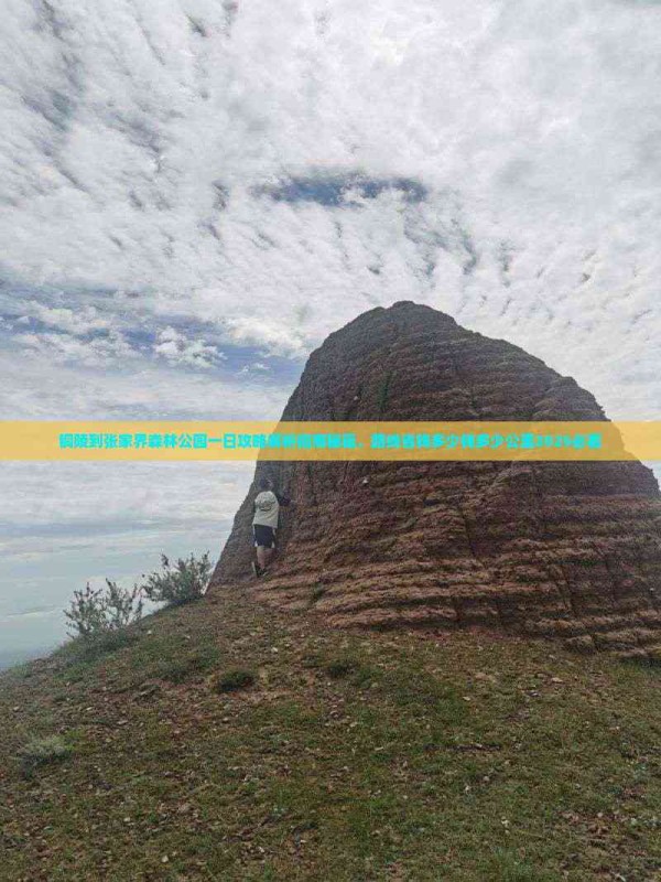 铜陵到张家界森林公园一日攻略解析指南秘籍，路线省钱多少钱多少公里2025必看